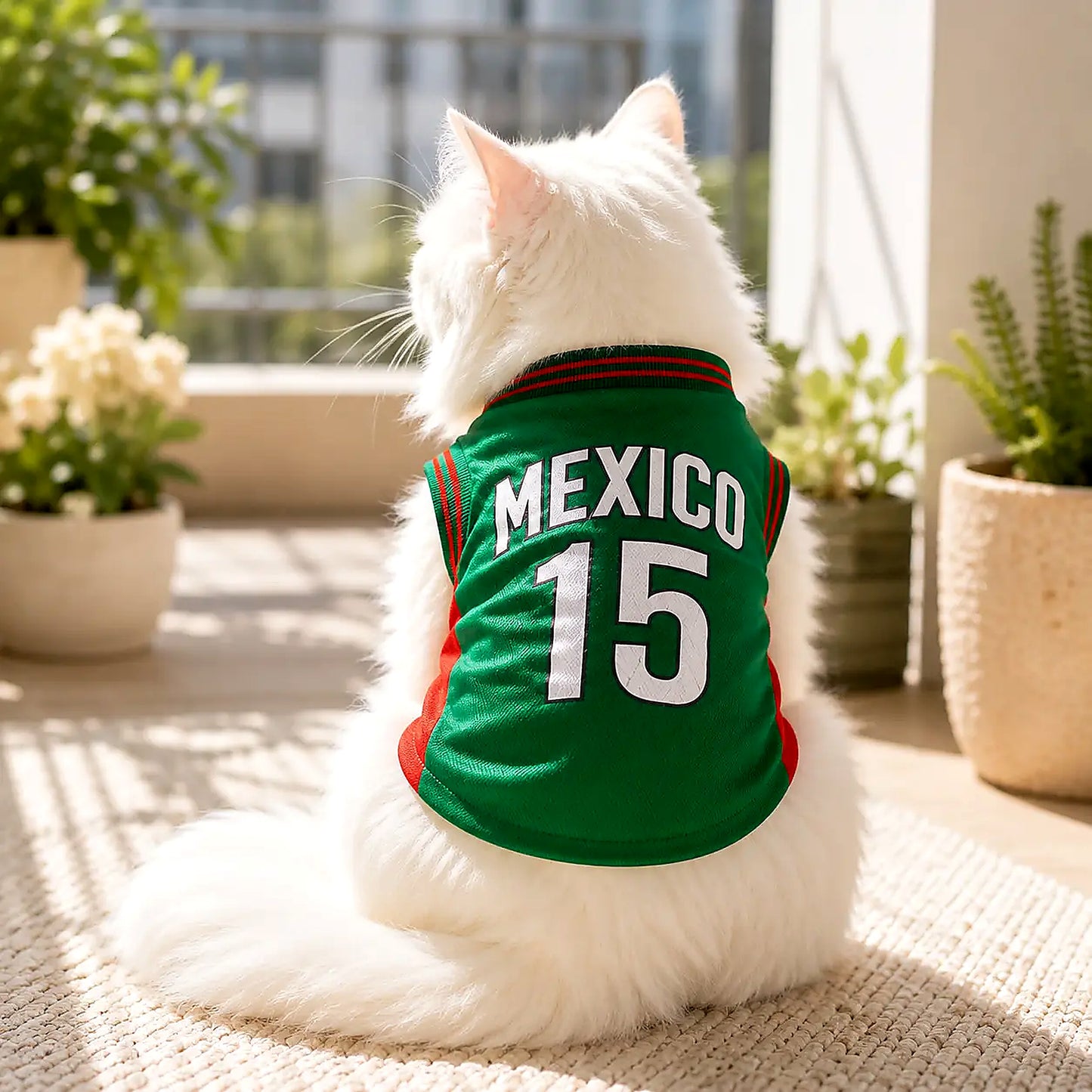 World Cup Mexico Pet Shirt