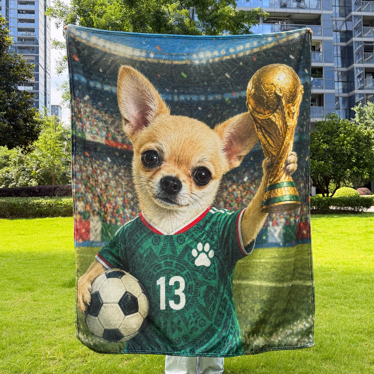 Personalized Soccer Pet Blanket